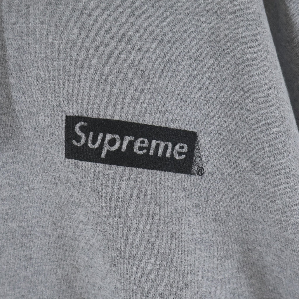 SUPREME(シュプリーム) 23AW Catwoman Hooded Sweatshirt キャットウーマン フーデットスウェット プルオーバーパーカー グレー