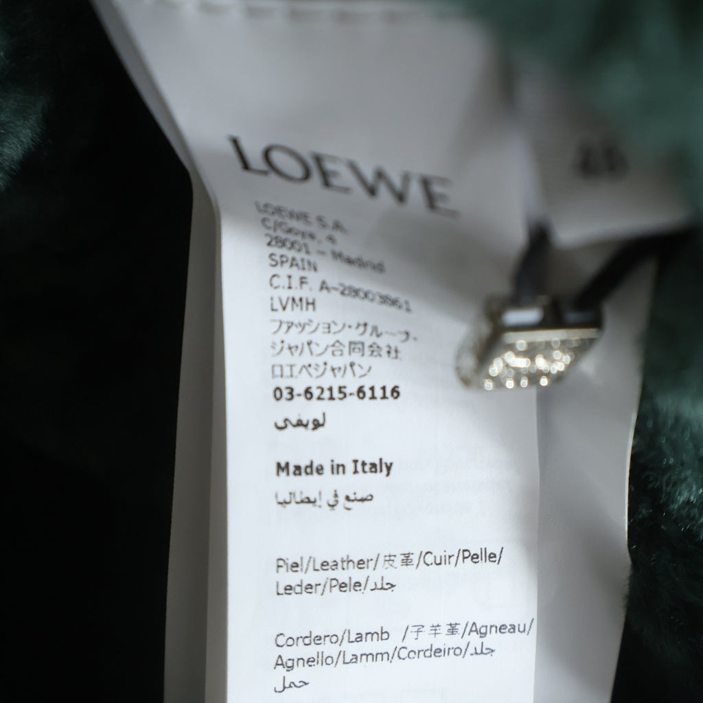 LOEWE(ロエベ) HOODIE IN SHEARING リバーシブル モヘア フーデッド ジップアップ ジャケット グリーン/ブラウン H526Y2SL41