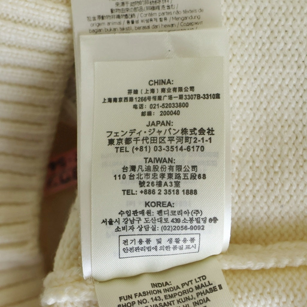 FENDI(フェンディ) 20AW ビッグロゴ クルーネックプルオーバー ニットセーター ホワイト FZY111 ADU6