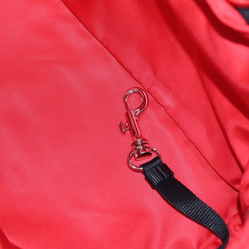 PRADA(プラダ) RE-NYLON PET BAG リナイロン サフィアーノレザー 三角ロゴプレート ペットバッグ ハンドバッグ レッド 2VC030 2DMT F0KY6 レディース