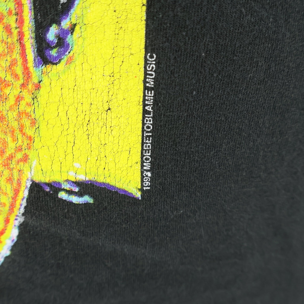 VINTAGE(ヴィンテージ) 90S VINTAGE RED HOT CHILI PEPPERS 1993 THERMOGRAPHY GIANT BY ANVIL USA製 サーモグラフィー フロントプリント クルーネック 半袖Tシャツ
