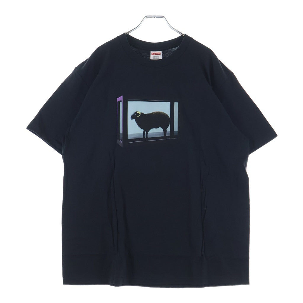 SUPREME(シュプリーム) 25SS Damien Hirst Tee ダミアン ハースト