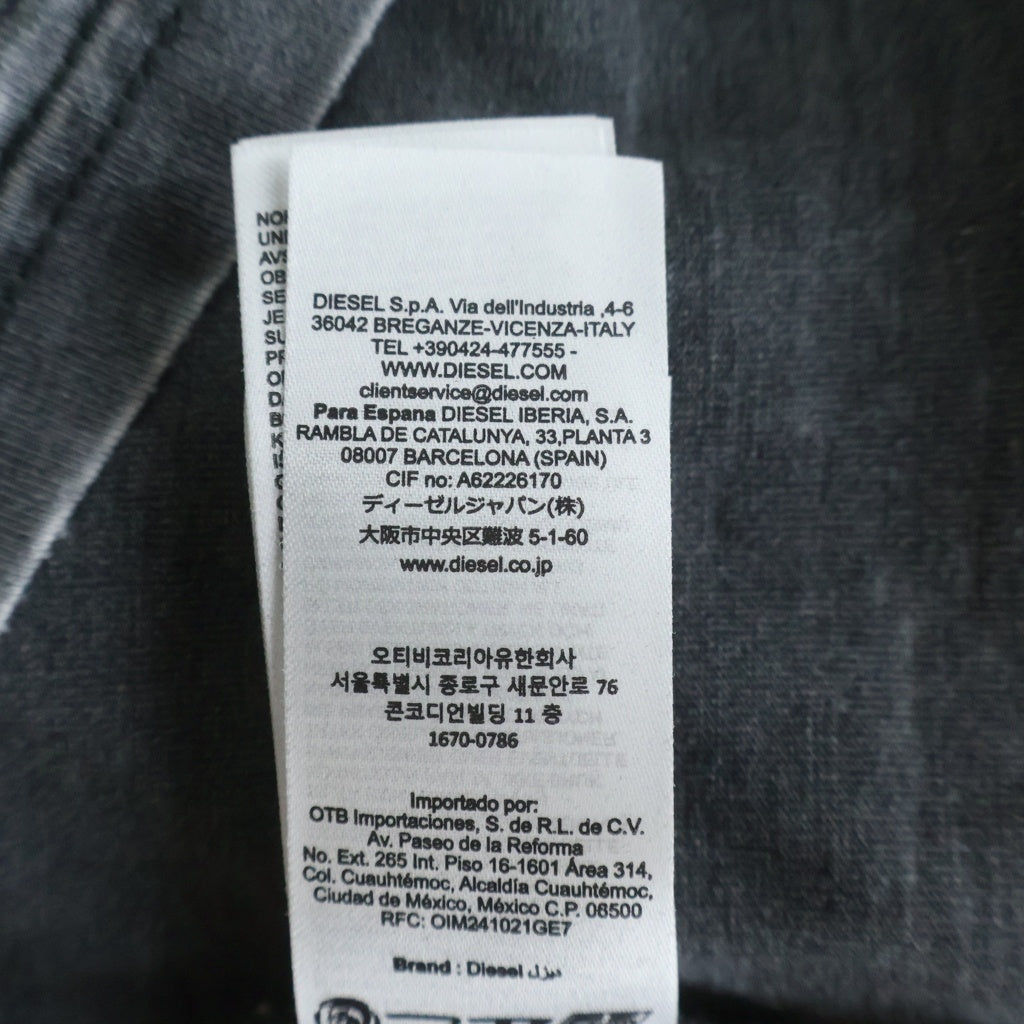 DIESEL(ディーゼル) 26SS T-JORI-A LONG-SLEEVE T-SHIRT WITH GRAPHIC MOTIF グラフィック クルーネック コットン 長袖Tシャツ ロングスリーブ グレー A23002-0WECN