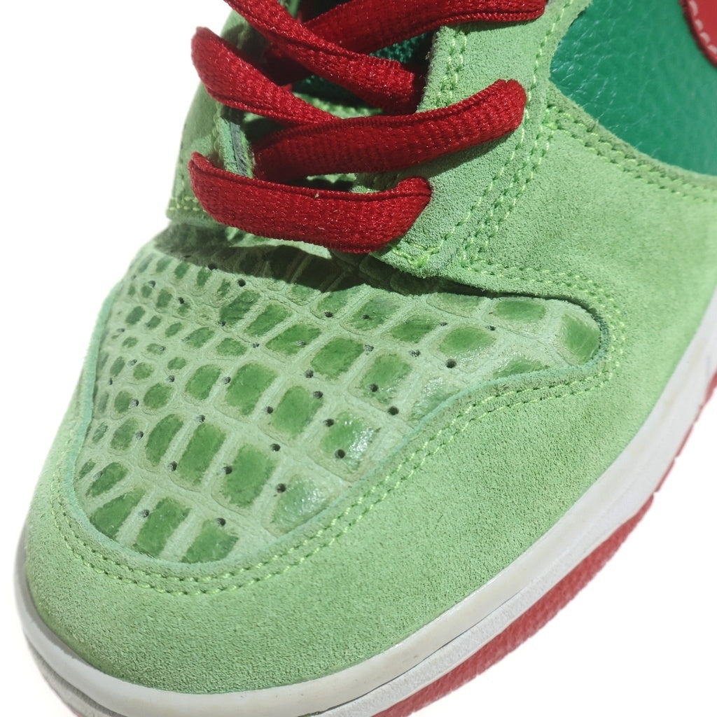 NIKE(ナイキ) 【鑑賞用 2008年】 DUNK HIGH PRO DR FEELGOOD ダンク ドクター フィールグッド ハイカットスニーカー グリーン US9.5/27.5cm 305050-362