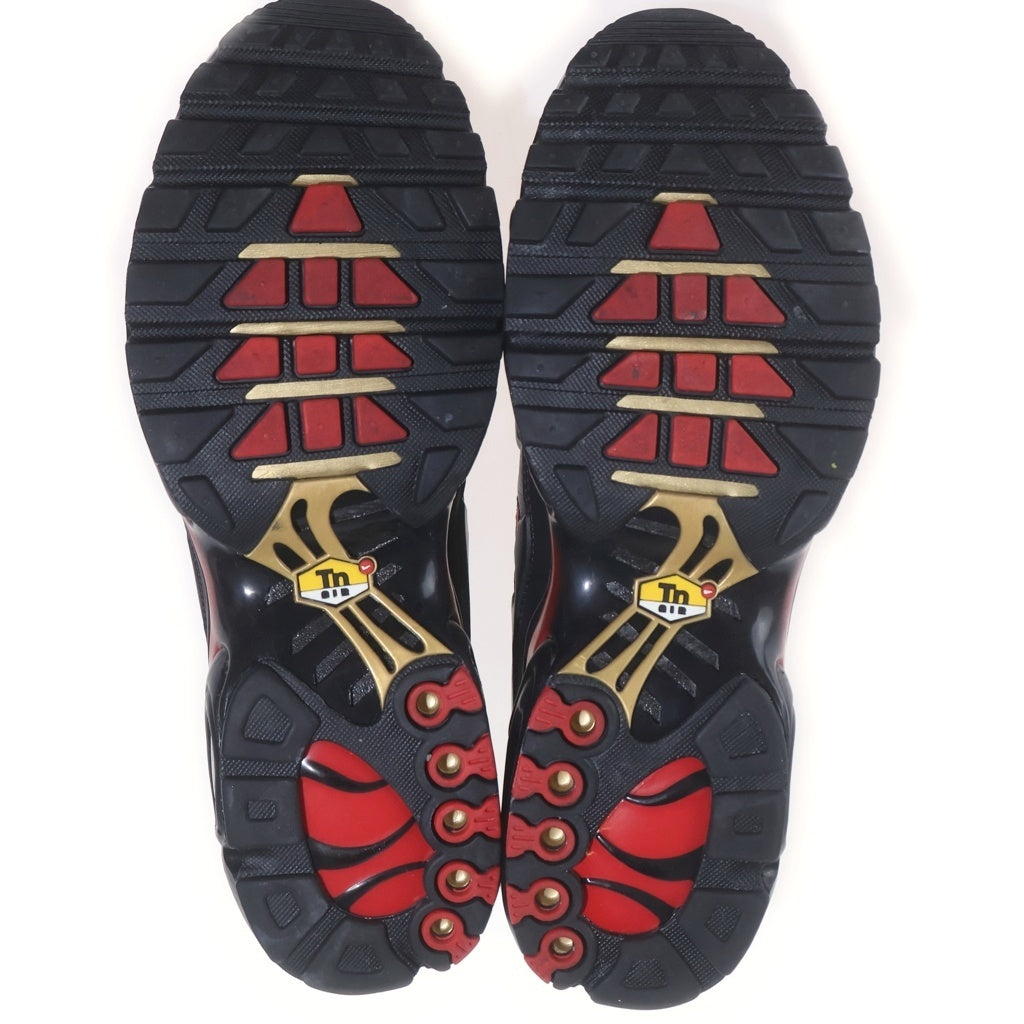 NIKE(ナイキ) AIR MAX PLUS PRM エアマックスプラス プレミアム ローカットスニーカー ブラック US11/29cm FZ3038-001