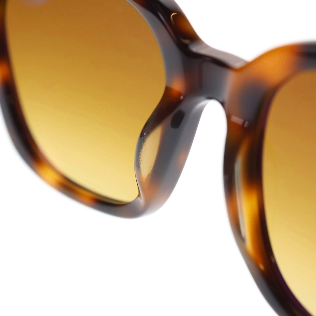 TOM FORD(トムフォード) HAYLAY スクエアフレーム カラーレンズ サングラス メガネ ブラウン TF1216