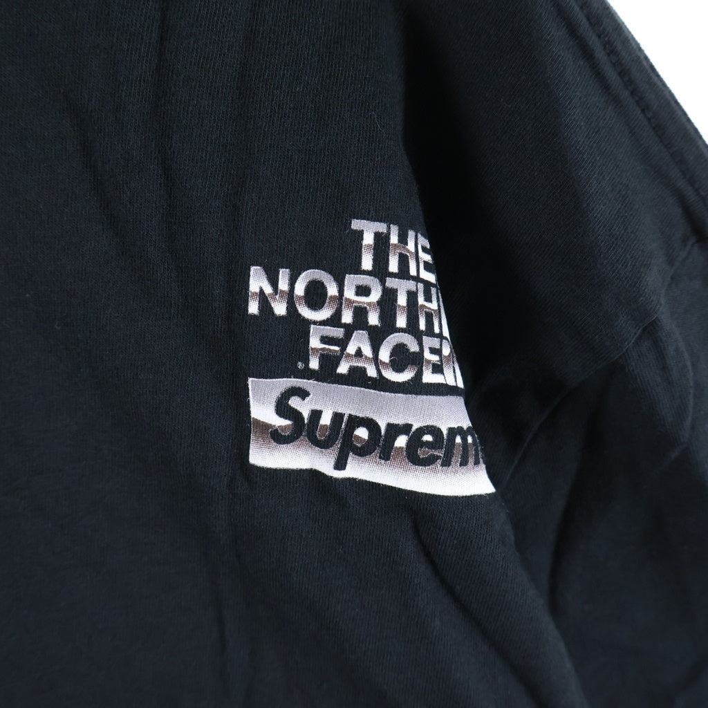 THE NORTH FACE(ザノースフェイス) 18SS ×THE NORTH FACE Metalic Logo Tee ザノースフェイス メタリックロゴプリントTシャツ ショートスリーブ クローム半袖カットソー ブラック