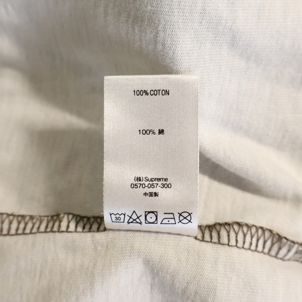 SUPREME(シュプリーム) 20AW Micro Stripe L/S Top マイクロ ストライプ クルーネック長袖Tシャツ カットソー ブラウン