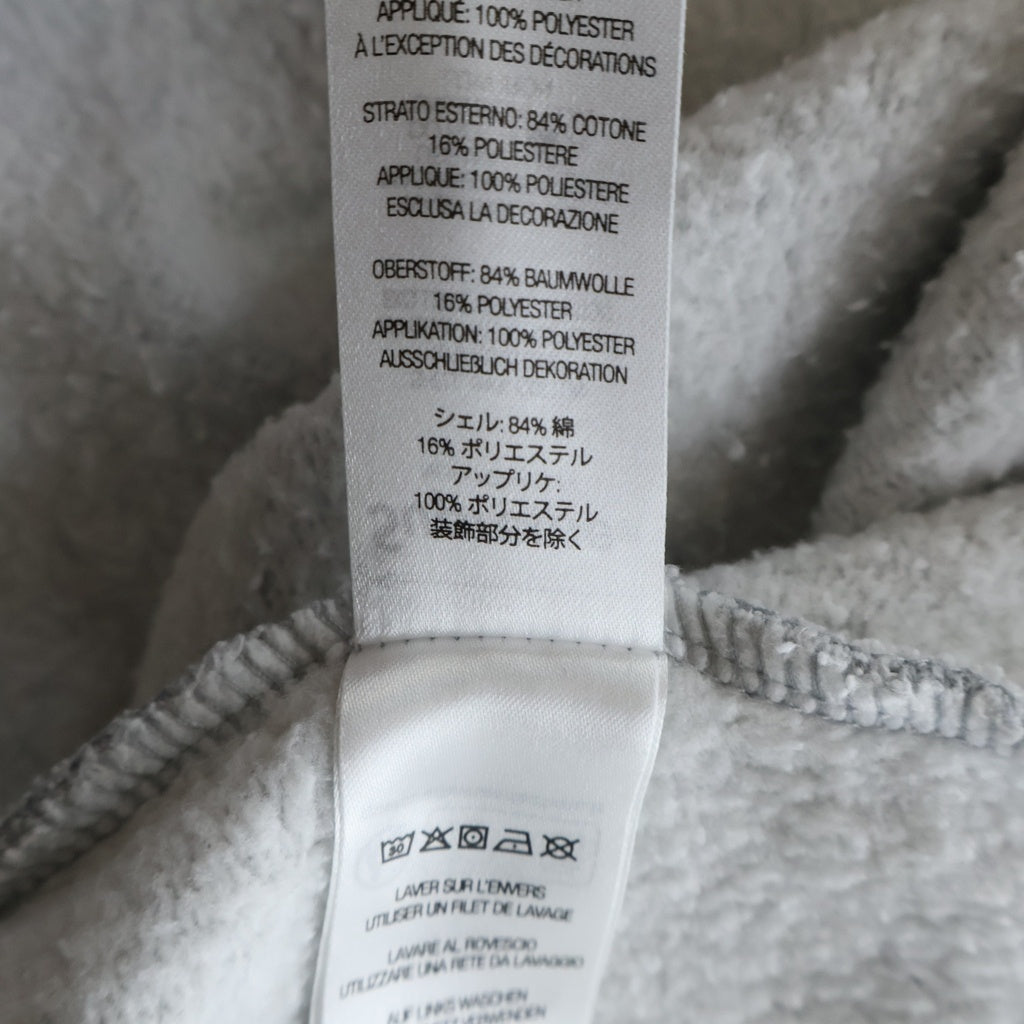 SUPREME(シュプリーム) 24AW Satin Applique Hooded Sweatshirt サテンアップリケロゴ プルオーバースウェットパーカー フーディー グレー