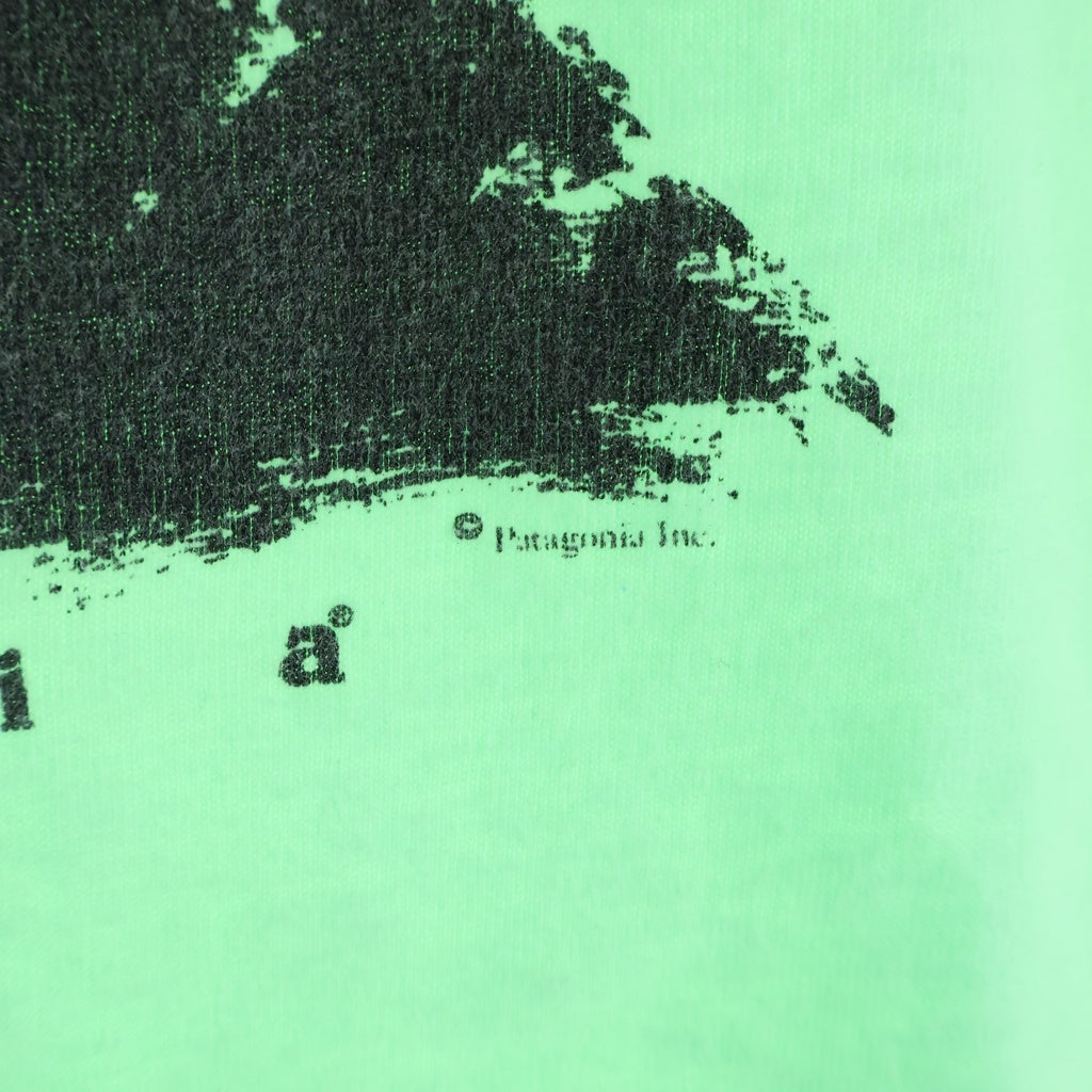 PATAGONIA(パタゴニア) 90S VINTAGE BRUSH STROKE MOUNTAIN ヴィンテージ ブラッシュストロークマウンテン フロントプリント クルーネック半袖Tシャツ カットソー ライトグリーン