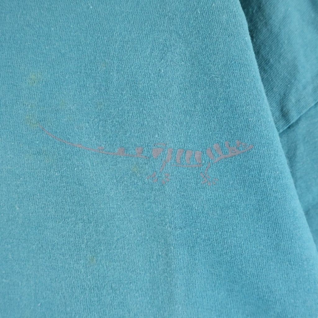 PATAGONIA(パタゴニア) 90S VINTAGE CHACO USA製 ヴィンテージ チャコ クルーネック半袖Tシャツ カットソー ライトブルー