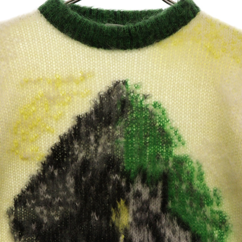 DIOR(ディオール) 21AW×PETER DOIG モヘヤ混ニット 長袖セーター ホワイト/グリーン 143M645CT273