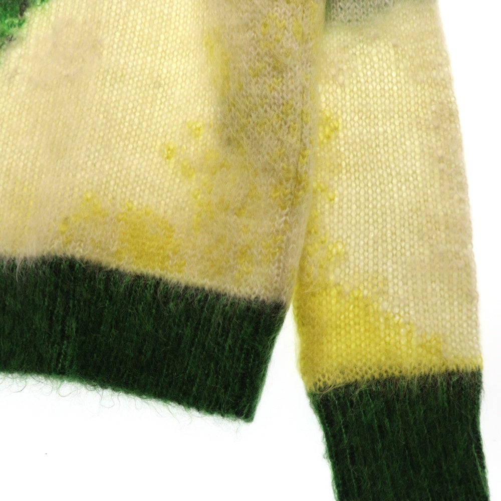 DIOR(ディオール) 21AW×PETER DOIG モヘヤ混ニット 長袖セーター ホワイト/グリーン 143M645CT273