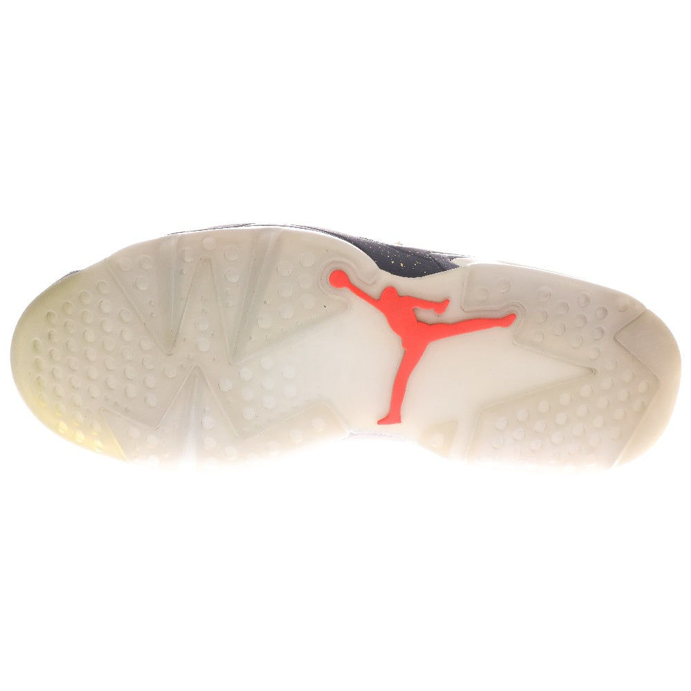 NIKE(ナイキ) 【観賞用 2014年製】 AIR JORDAN 6 RETRO CHAMPAGNE エアジョーダン6 レトロ シャンパン ハイカットスニーカー グリーン US10/28cm 384664-350