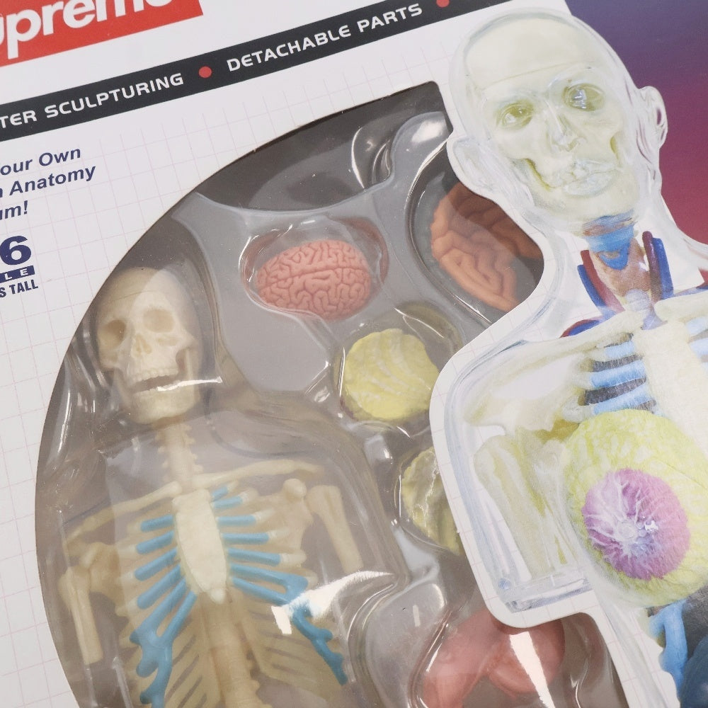 SUPREME(シュプリーム) 18AW Female Anatomy Model フェメイル アナトミーモデル 人体模型 トイ