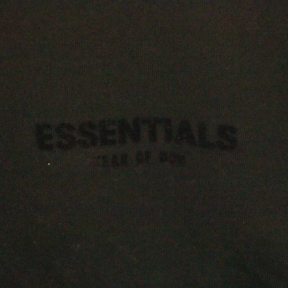 ESSENTIALS FEAR OF GOD(エッセンシャル フィアオブゴッド) Flocky Back Logo Sweat Pullover Parka フロッキーバックロゴプリントスウェットプルオーバーパーカー ブラック