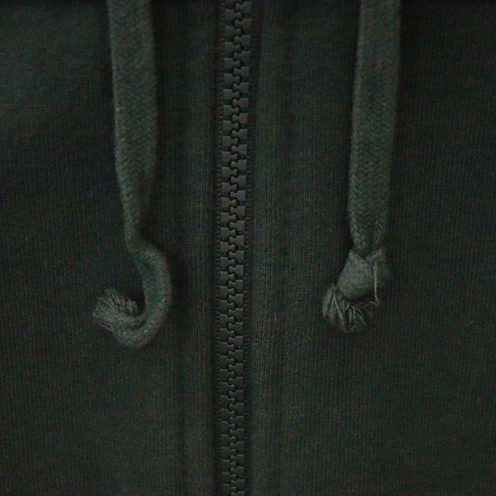 SUPREME(シュプリーム) 19AW Text Stripe Zip Up Hooded Sweatshirt テキストストライプ ロゴ スウェット ジップアップ パーカー グリーン