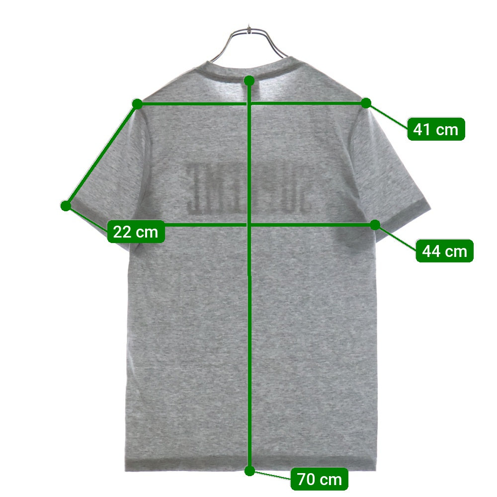 SUPREME(シュプリーム) 24AW Tera Patrick Collegiate Tee テラ パトリック ロゴプリント クルーネック 半袖Tシャツカットソー グレー