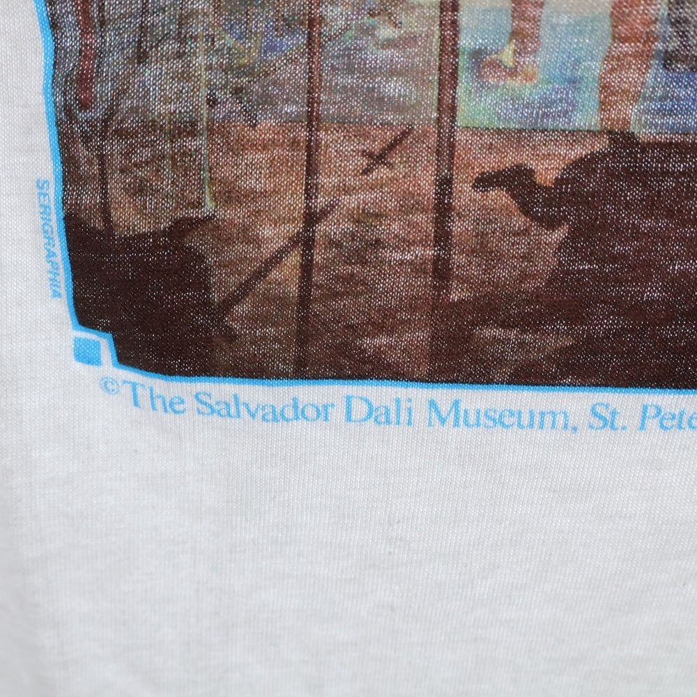 VINTAGE(ヴィンテージ) 90S VINTAGE SALVADOR DALI ヴィンテージ サルバドール ダリ コロンブス アート プリント クルーネック 半袖Tシャツ カットソー ホワイト
