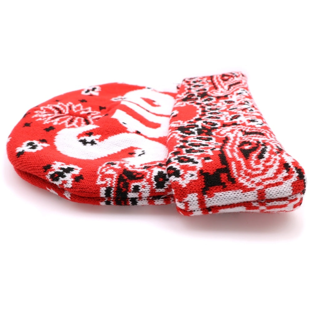 SUPREME(シュプリーム) 24AW Bandana Big Logo Beanie バンダナ ビッグボックスロゴ ビーニー ニットキャップ 帽子 レッド