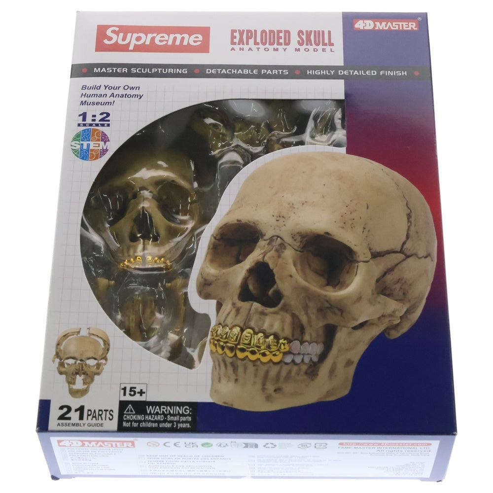 SUPREME(シュプリーム) 23AW 4D Model Human Skull 4Dモデルヒューマンスカルナチュラル フィギュア 人形 ホワイト