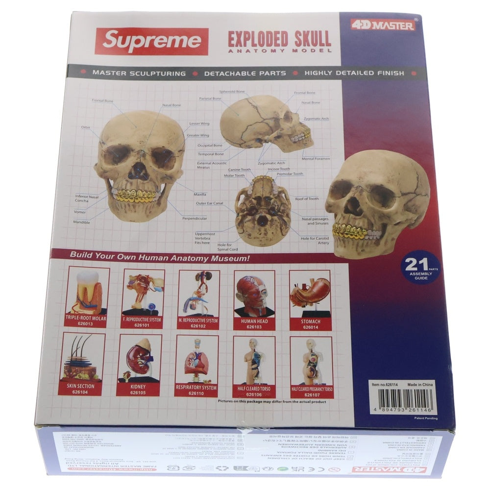 SUPREME(シュプリーム) 23AW 4D Model Human Skull 4Dモデルヒューマンスカルナチュラル フィギュア 人形 ホワイト