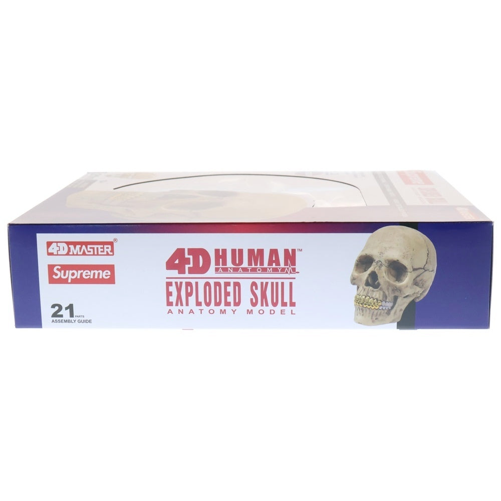 SUPREME(シュプリーム) 23AW 4D Model Human Skull 4Dモデルヒューマンスカルナチュラル フィギュア 人形 ホワイト
