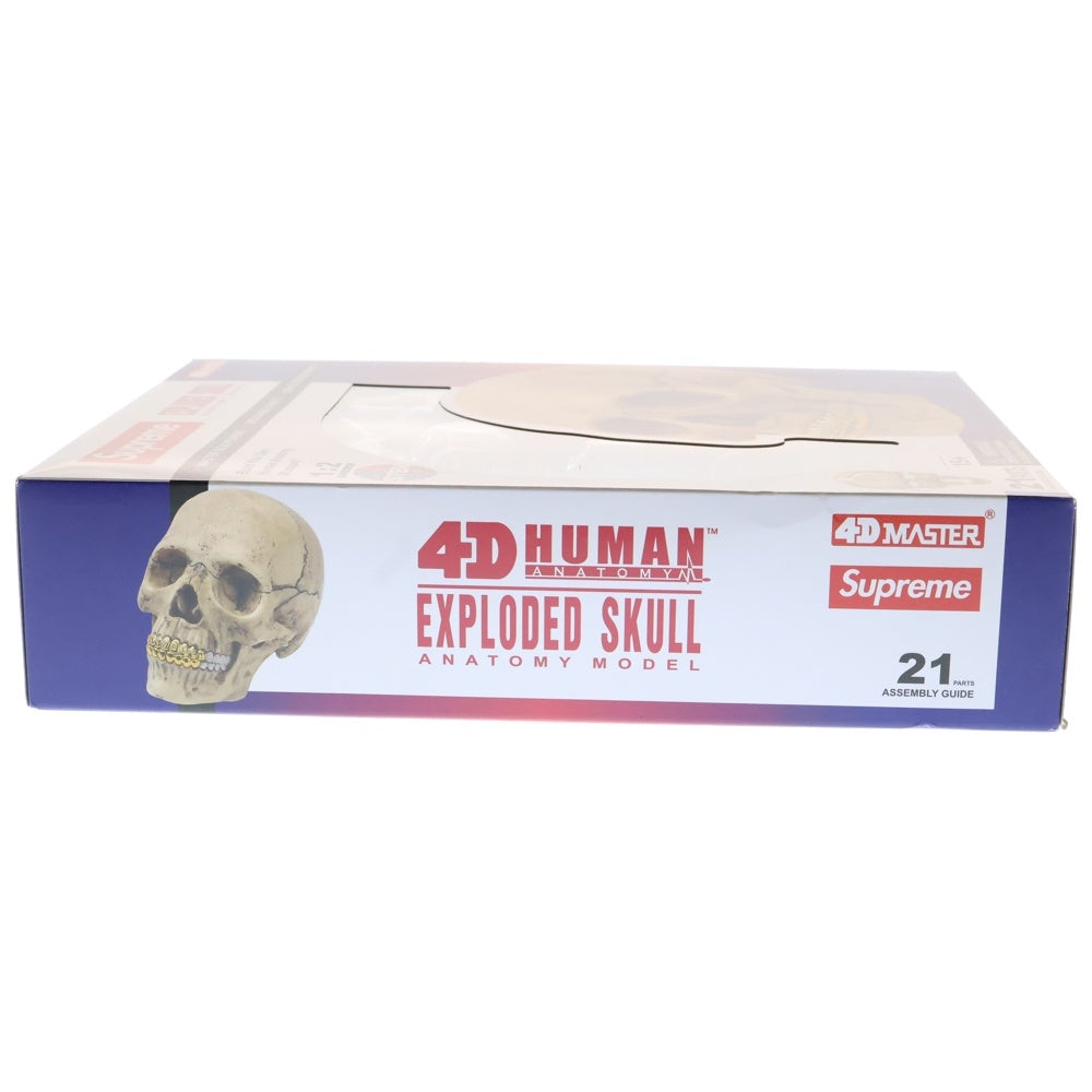 SUPREME(シュプリーム) 23AW 4D Model Human Skull 4Dモデルヒューマンスカルナチュラル フィギュア 人形 ホワイト