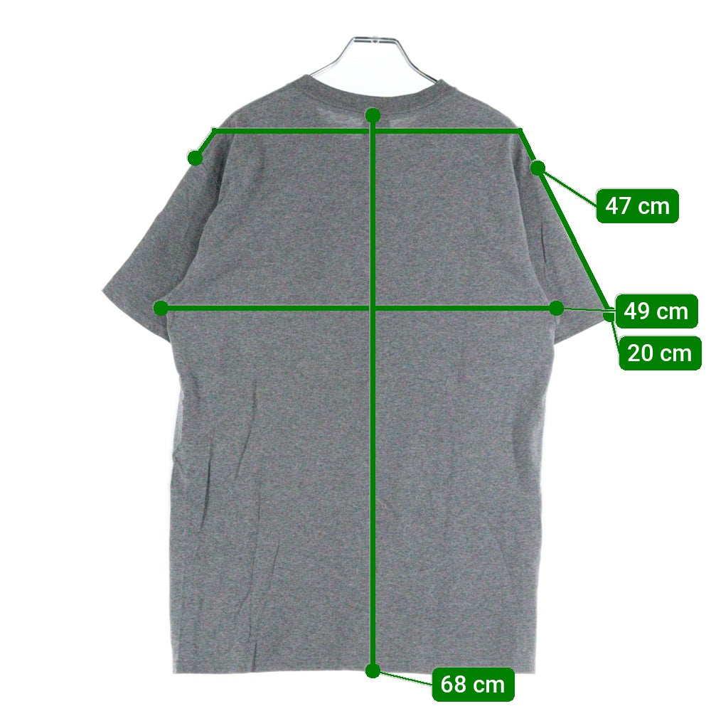 STUSSY(ステューシー) 00s OLD STUSSY KNOWLEDGE IS KING オールドステューシー グラフィックプリント クルーネック 半袖Tシャツ カットソー グレー