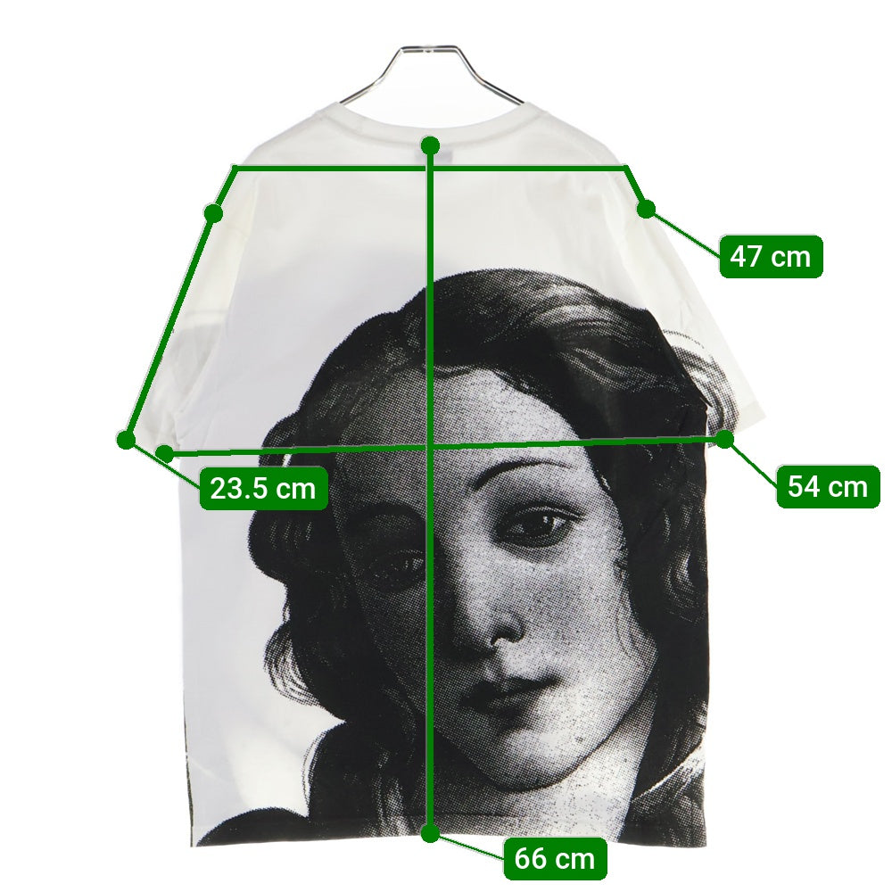 STUSSY(ステューシー) 20SS Venus Tee ヴィーナス ビッグプリント クルーネック 半袖Tシャツ ホワイト