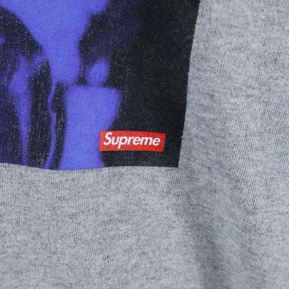 SUPREME(シュプリーム) 21AW America Eats Its Young Tee アメリカ イーツ イッツ ヤング フォトプリント 半袖Tシャツ カットソー グレー