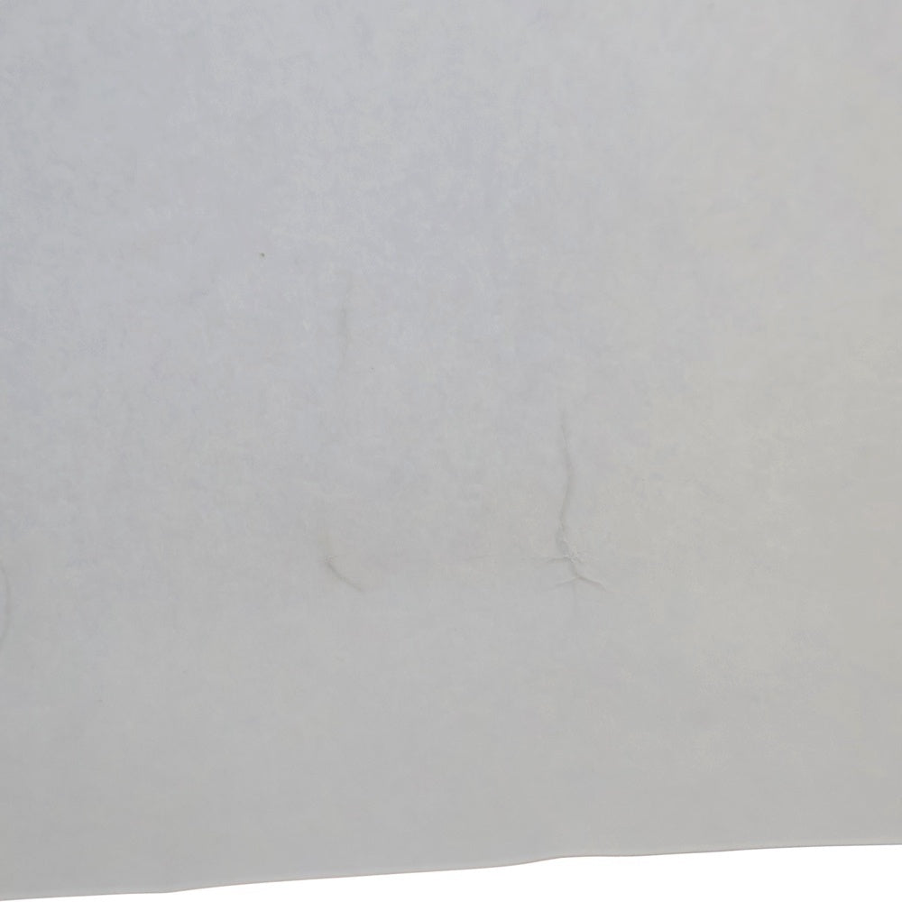 NO BRAND(ノーブランド) TIMELINE POSTER FORM FOLLOWS MOTION タイムラインポスター フォーム フォローズ モーション ホワイト