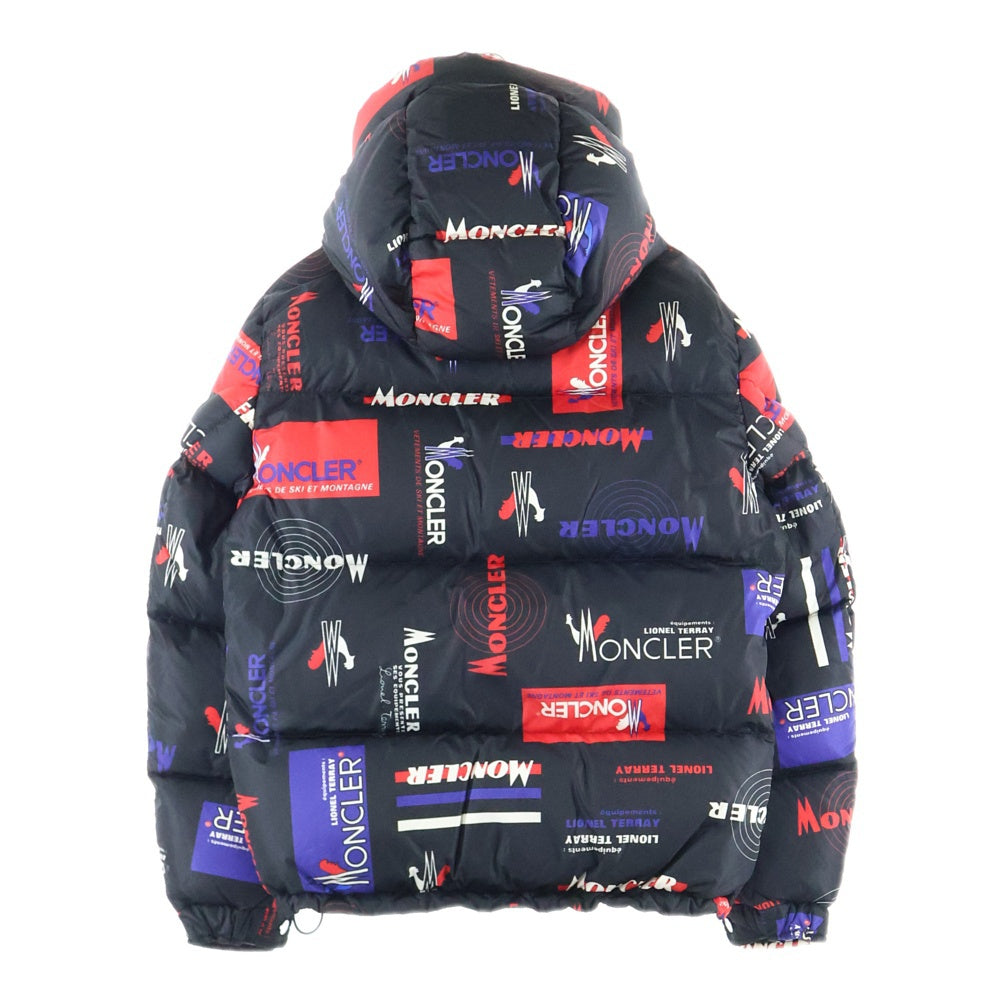MONCLER(モンクレール) 19AW WILSON DOWN JACKET ウィルソン ジップアップ ダウンジャケット マルチ E20914191005