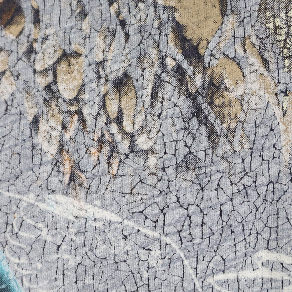 DIESEL(ディーゼル) ダメージ加工グラフィックプリント クルーネック 半袖Tカットソー チャコールグレー