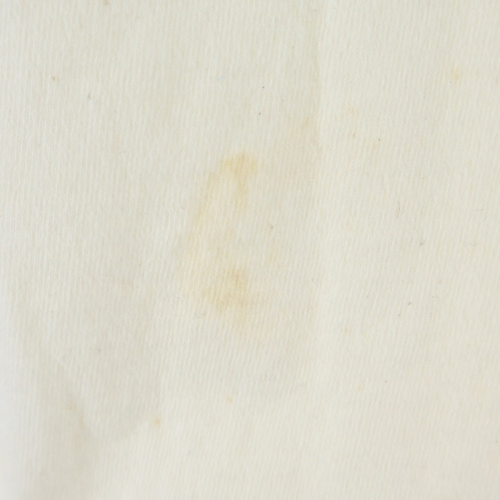 PATAGONIA(パタゴニア) 90S VINTAGE BENEFICIAL ヴィンテージ バックプリント クルーネック 半袖Tシャツ カットソー ホワイト