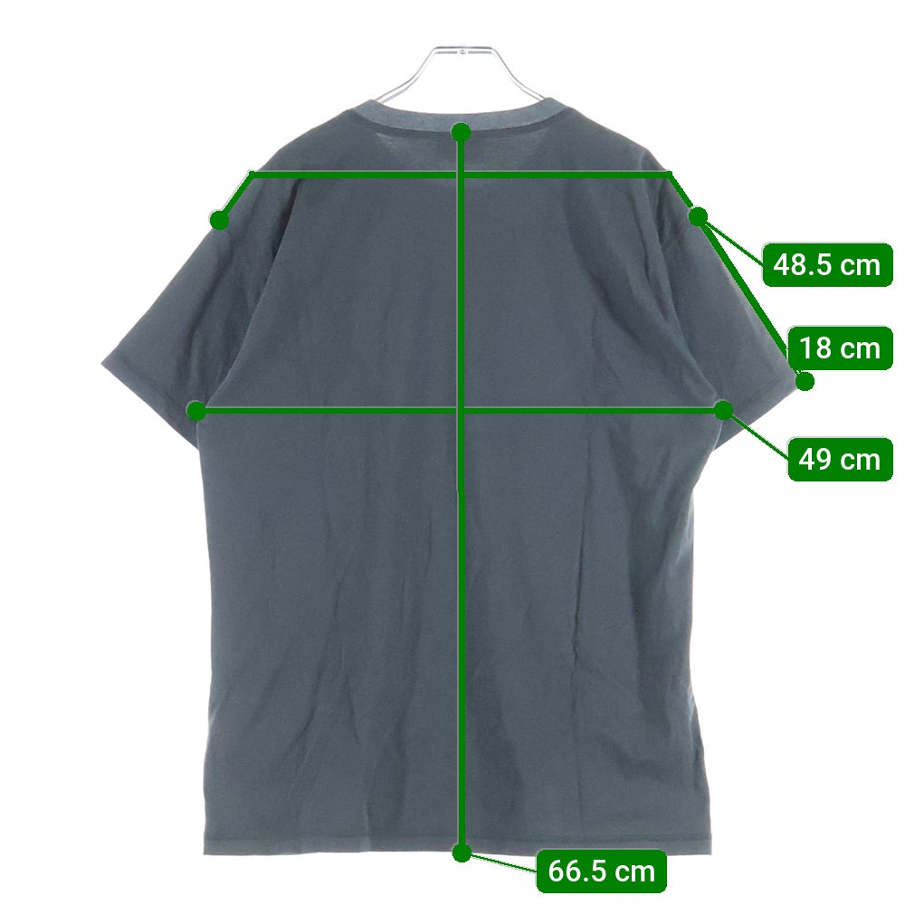 DIESEL(ディーゼル) 25SS T-NORM-HOSHI ホシ ロゴプリントクルーネック半袖Tシャツカットソー チャコール 0SPCB