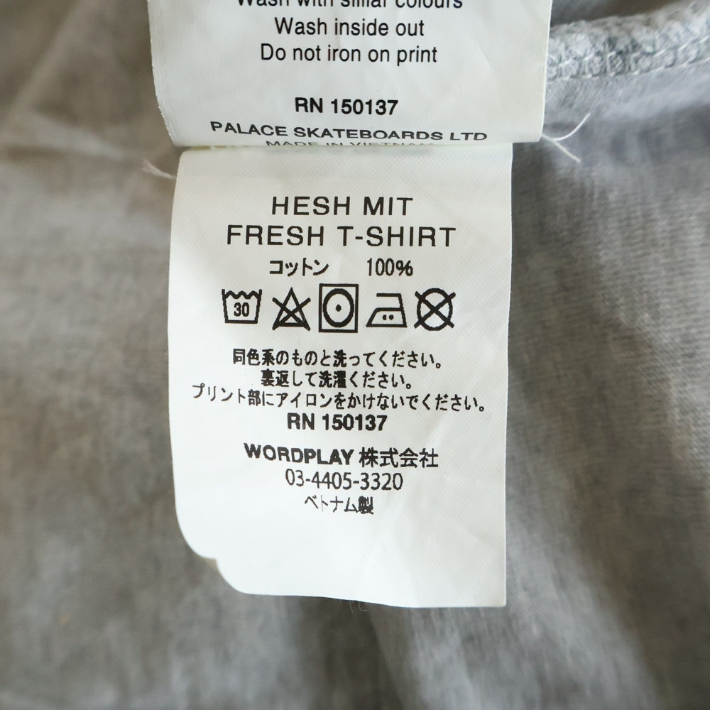 Palace Skateboards(パレススケートボーズ) Hesh Mit Fresh T-Shirt スネークロゴプリントクルーネック半袖Tシャツカットソー グレー