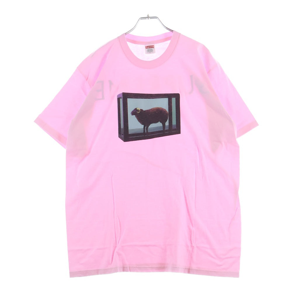 SUPREME(シュプリーム) 25SS Damien Hirst Tee ダミアンハースト プリントロゴ 半袖Tシャツ カットソー ピンク
