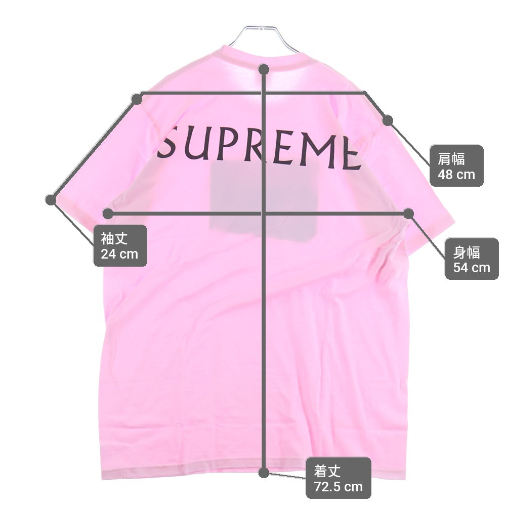 SUPREME(シュプリーム) 25SS Damien Hirst Tee ダミアンハースト プリントロゴ 半袖Tシャツ カットソー ピンク