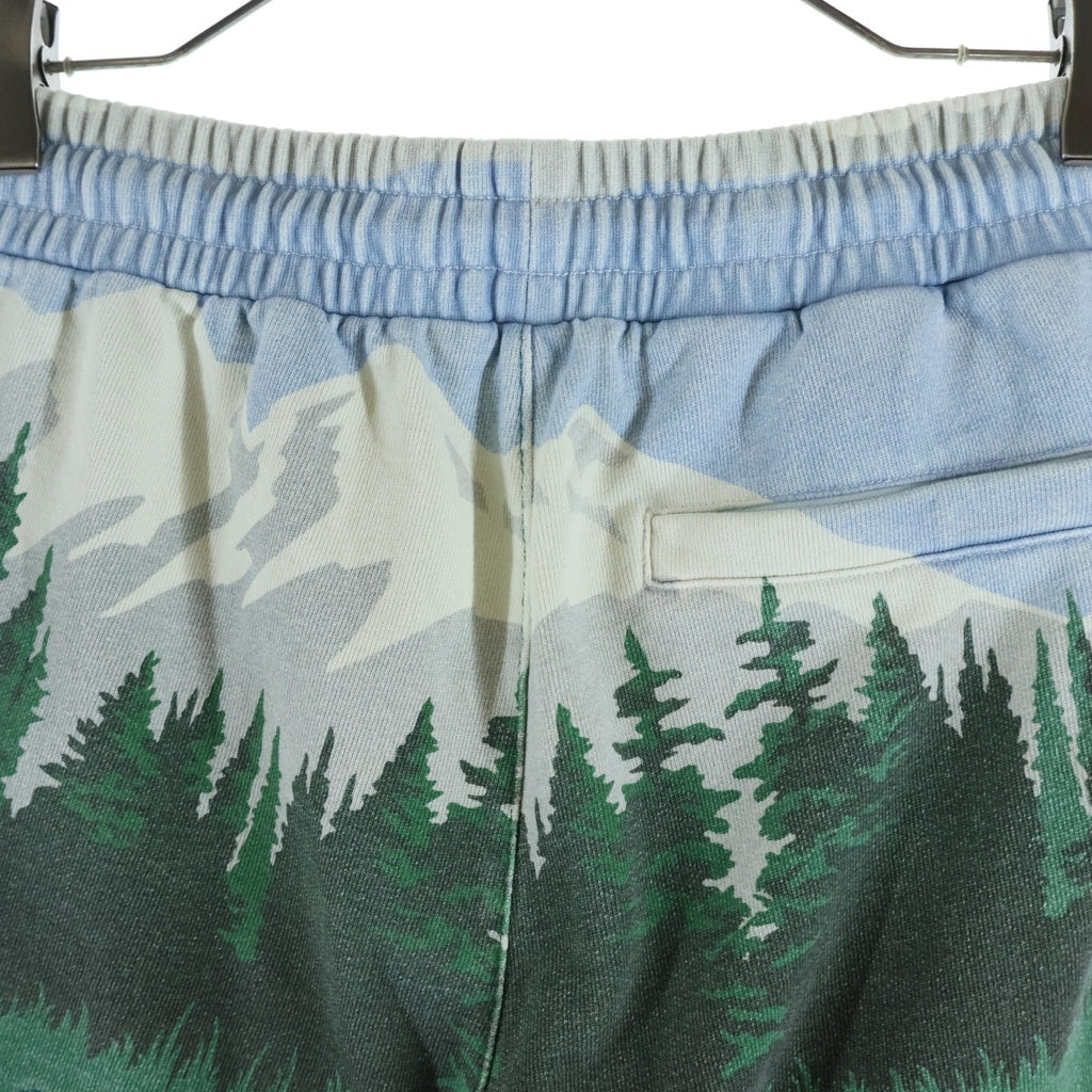 KITH(キス) Scenic Fleece Curtis Short フラワージャガート スウェット ショーツ ハーフパンツ ライトブルー/グリーン KHM060448