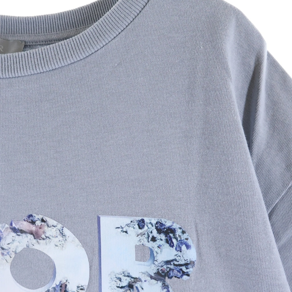 DIOR(ディオール) ×Daniel Arsham 20SS ダニエルアーシャム ロゴプリント 半袖Tシャツ カットソー ブルーグレー 023J615B0554