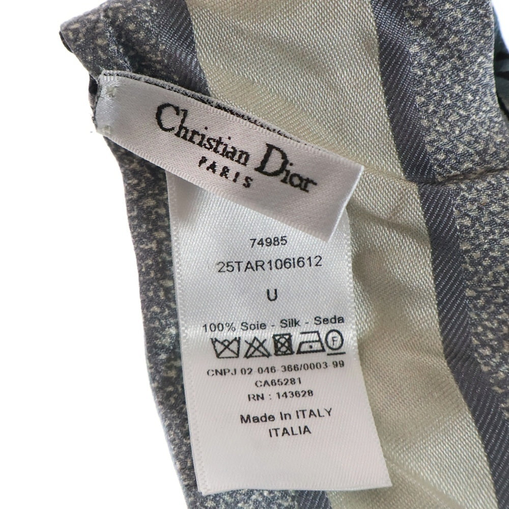 Christian Dior(クリスチャンディオール) バタフライ ロゴ ツイリー スカーフ ライトブルー