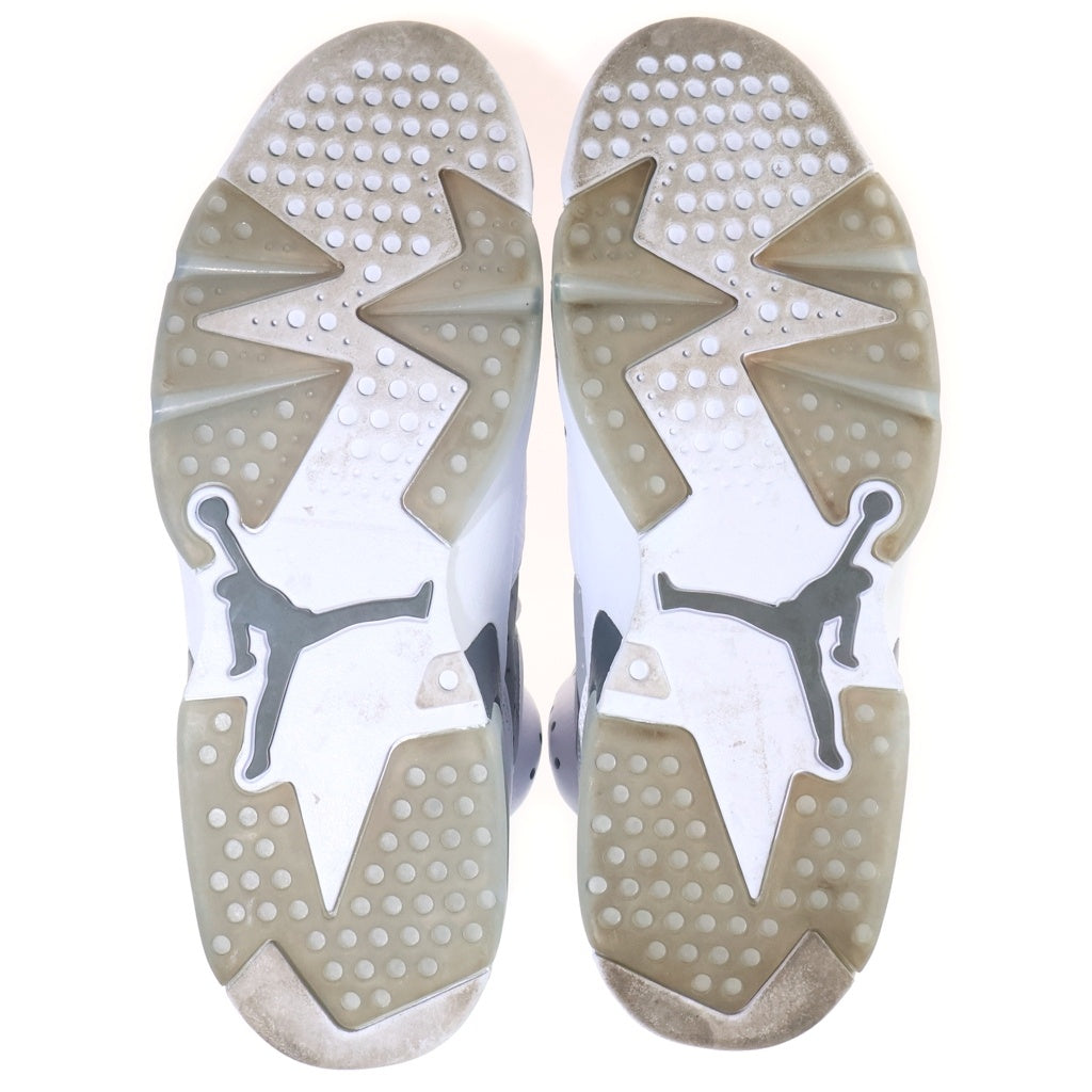 NIKE(ナイキ) AIR JORDAN 6 RETRO COOL GREY エアジョーダン6 クールグレー ハイカットスニーカー グレー US10/28cm CT8529-100