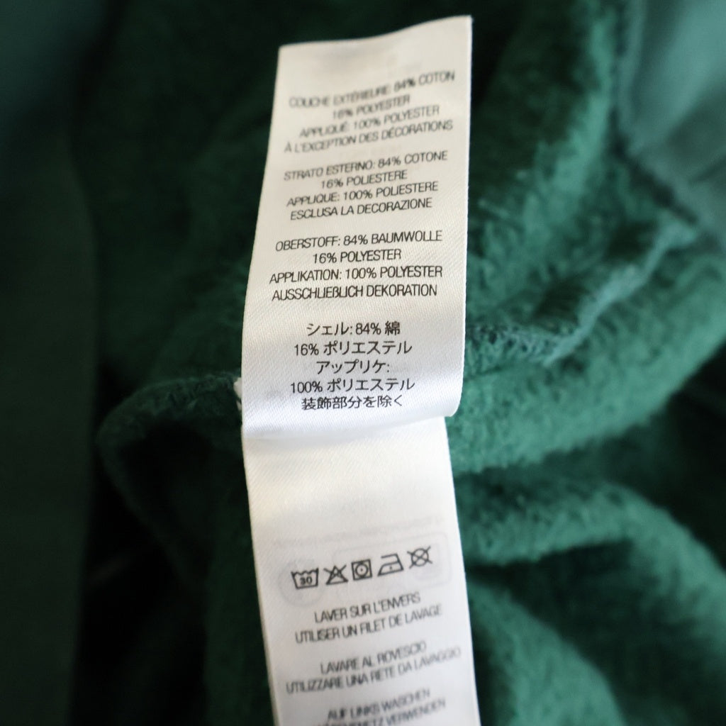 SUPREME(シュプリーム) 24AW Satin Applique Hooded Sweatshirt サテン アップリケ フーディー スウェットシャツ バックロゴ刺繍 プルオーバーパーカー グリーン