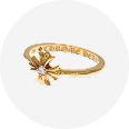 CHプラス