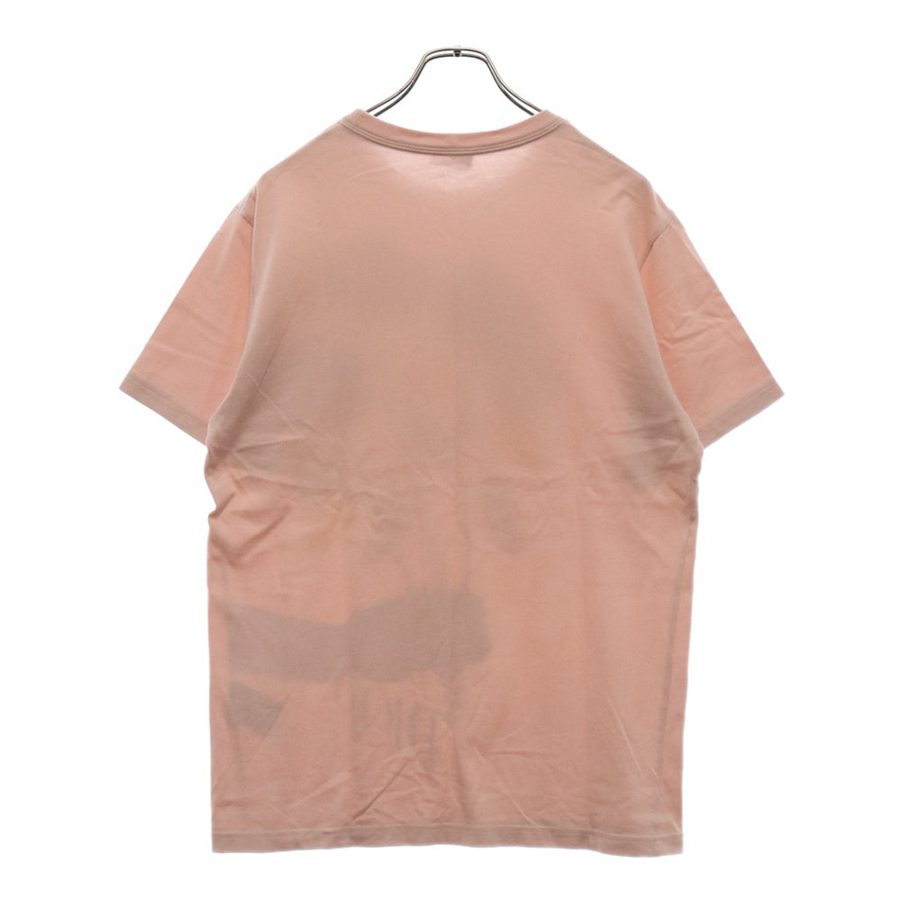 DIOR(ディオール) 20SS ×Alex Foxton Rose Compact Cotton Tee ×アレックス・フォクストン ローズ プリント半袖Tシャツ カットソー 943J605B0554 ピンク