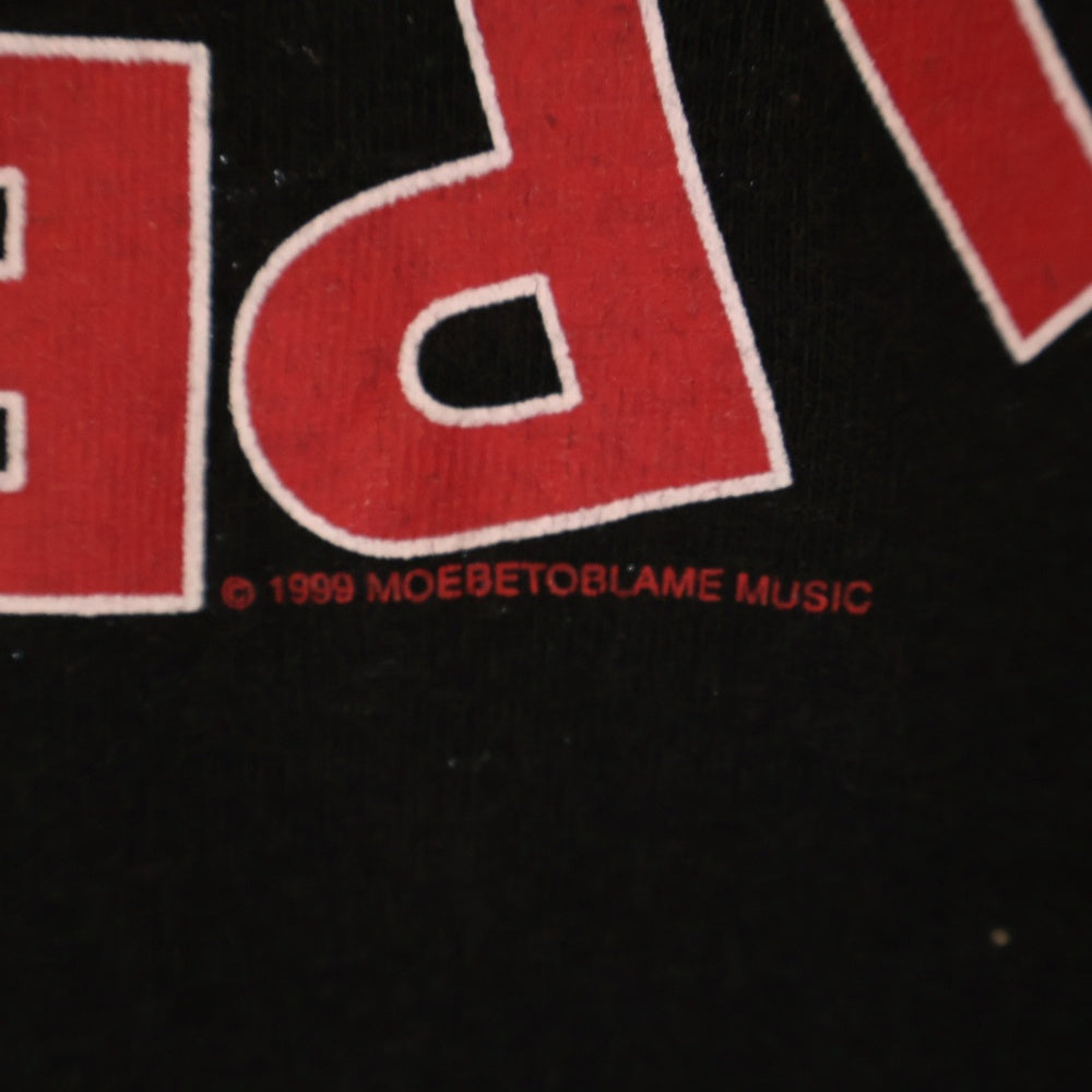 VINTAGE(ヴィンテージ) 90s RED HOT CHILI PEPPERS CALIFORNICATION DUCK レッドホットチリペッパーズ 両面プリント半袖Tシャツ カットソー ブラック