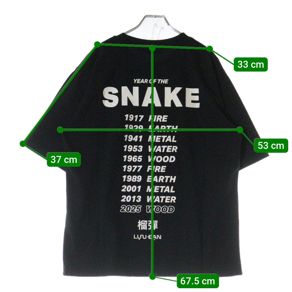 LU'U DAN(ルーダン) 25SS GRAPHIC TEE グラフィックプリント半袖Tシャツ ブラック T001J_CJ