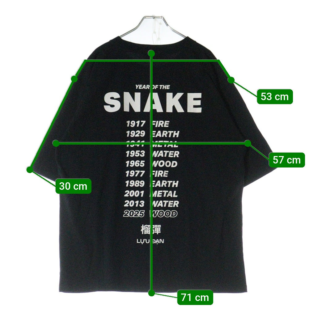 LU'U DAN(ルーダン) 25SS GRAPHIC TEE グラフィックプリント半袖Tシャツ ブラック T001J_CJ