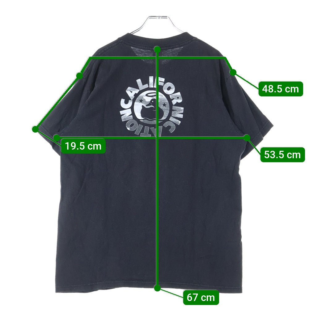 VINTAGE(ヴィンテージ) 90s Red Hot Chili Peppers Carifornication レッドホットチリペッパー 半袖Tシャツ カットソー ブラック